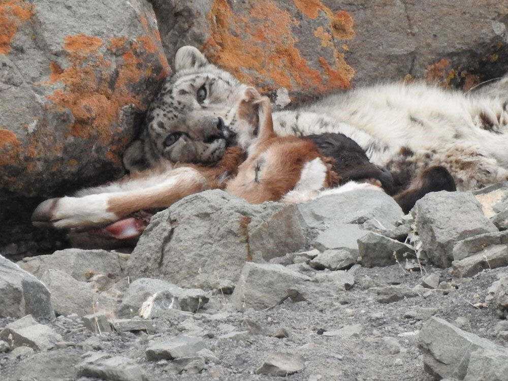 乐鱼官方网站 - 湖南体育频道在线直播 